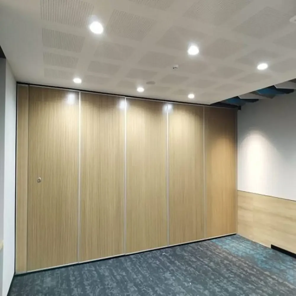 Acoustic Partitions