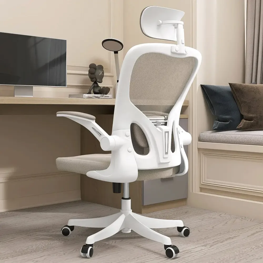 Study Chairs